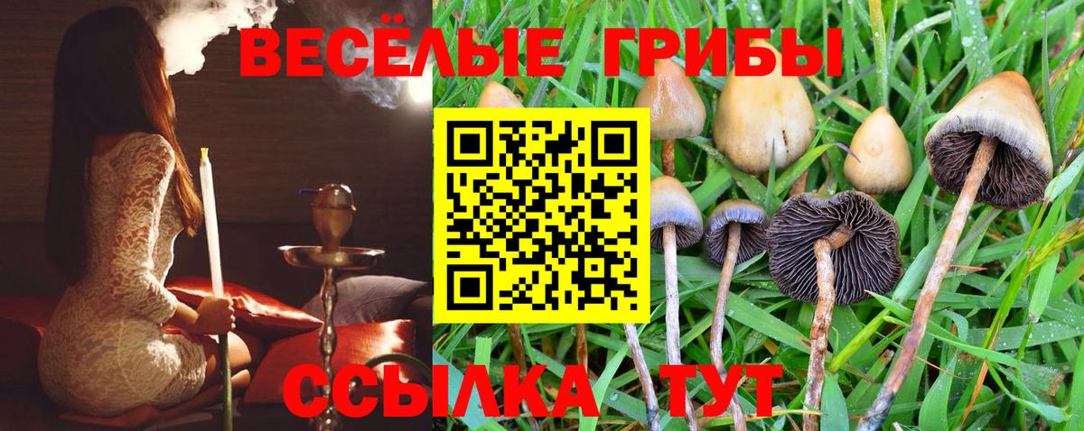 Псилоцибиновые грибы мицелий  Галлюциногенные грибы прущие грибы  Благовещенск  Вход с VPN 
