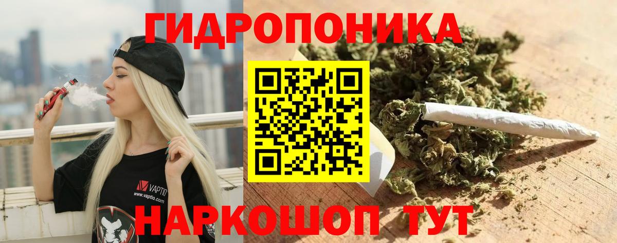 Каннабис план  МАРИХУАНА SATIVA & INDICA  Вход с VPN  Конопля марихуана  Благовещенск  Марихуана марихуана 