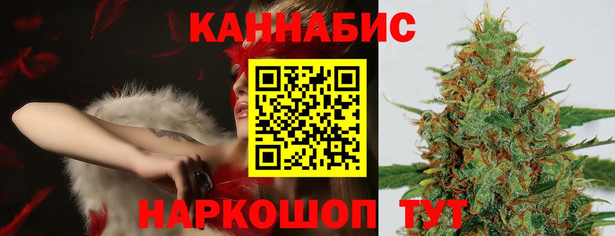 Конопля планчик Благовещенск